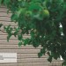 Сайдинг Ю-Пласт TIMBERBLOCK Пихта (Тимберблок) Cахалинская купить в Хабаровске