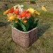 Цветник КАНЬОН купить в Хабаровске