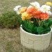 Цветник КАНЬОН купить в Хабаровске