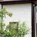 Фасадная панель Grand Line Сланец молочный купить в Хабаровске